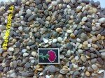 галька морская мелкая