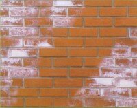 смывка высолов