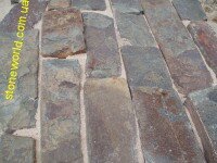 плитняк крымский