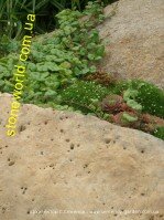 Камень в ландшафтном дизайне