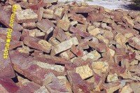 Плитняк крымский