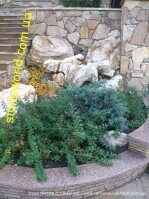 Глыбы и валуны из песчаника в ландшафтном дизайне