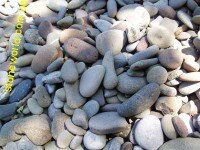 галька морская